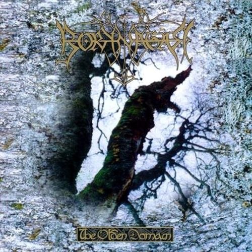 Borknagar - The Olden Domain (1997) Progressive Viking⁄Folk Metal