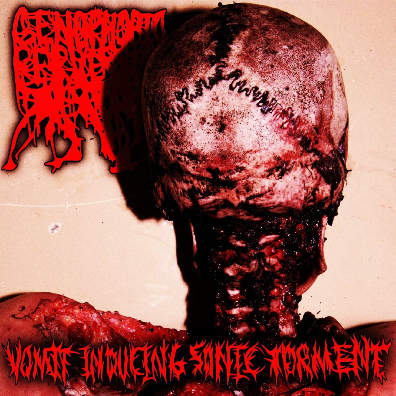 Genophobic Perversion - Vomit Inducing Sonic Torment (2023) Goregrind (D35)