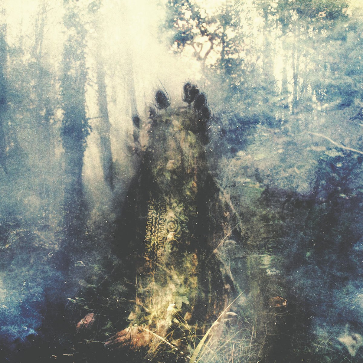 Sylvaine - Wistful (2016) Atmospheric Post-Metal⁄Blackgaze
