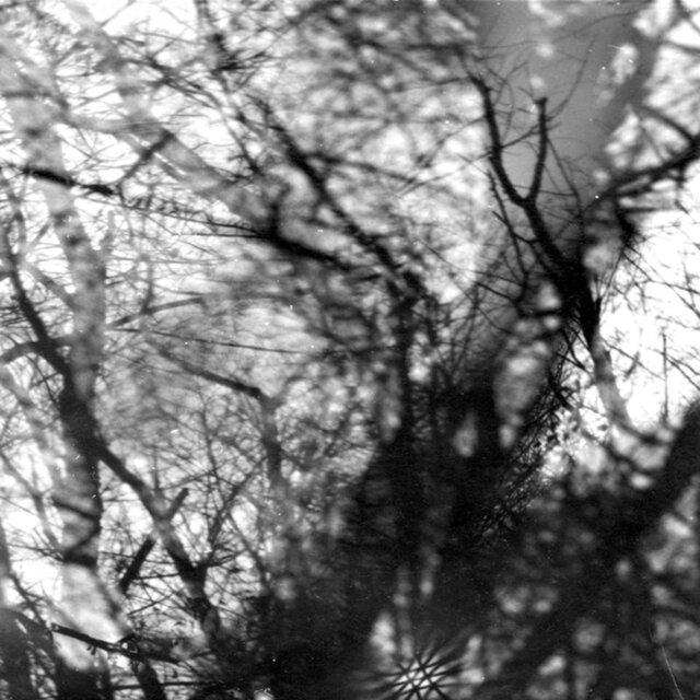 Grouper - Way Their Crept (2005) [FLAC]