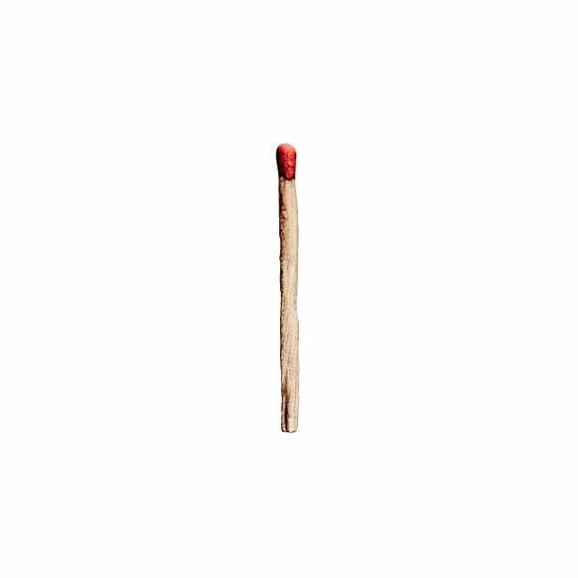 Rammstein - Rammstein (2019) [FLAC]
